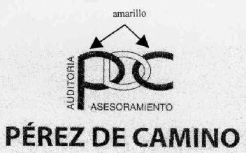 PDC AUDITORIA ASESORAMIENTO PEREZ DE CAMINO