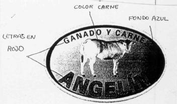 GANADO Y CARNE ANGELIN
