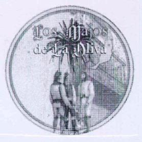 LOS MAJOS DE LA OLIVA
