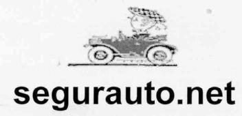SEGURAUTO.NET