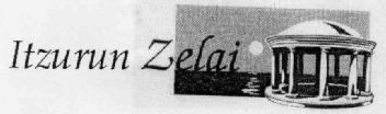 ITZURUN ZELAI