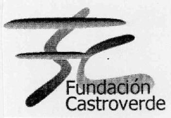 FC FUNDACION CASTROVERDE
