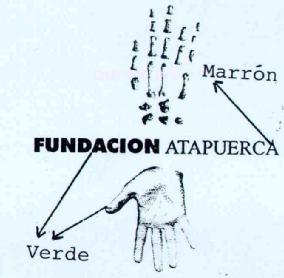 FUNDACION ATAPUERCA