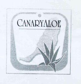 CANARYALOE