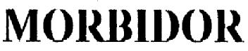 MORBIDOR