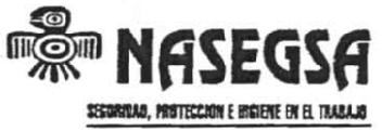 NASEGSA, SEGURIDAD, PROTECCION E HIGIENE EN EL TRABAJO
