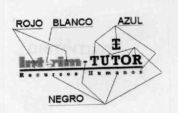 INTERIM-TUTOR RECURSOS HUMANOS