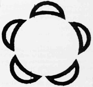 M2336906(X)