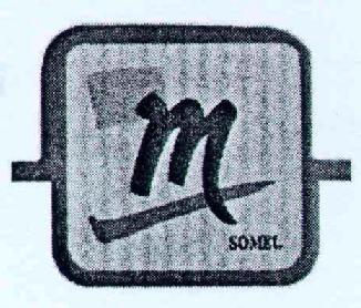 M SOMEL