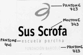 SUS SCROFA ESCUELA PORCINA FUNDACION BARCELO