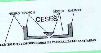CESES CENTRO ESTUDIOS SUPERIORES DE ESPECIALIDADES SANITARIAS