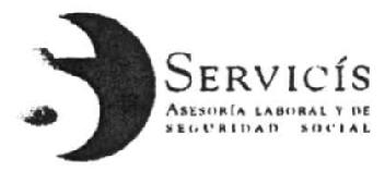 S SERVICIS ASESORIA LABORAL Y DE SEGURIDAD SOCIAL