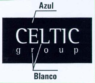 CELTIC GROUP