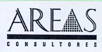 AREAS CONSULTORES