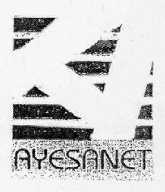 A AYESANET
