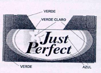 JUST PERFECT