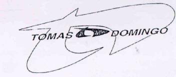 TOMAS DOMINGO