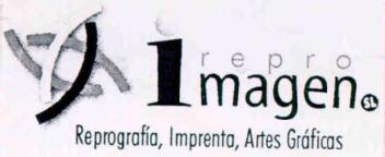 REPRO IMAGEN REPROGRAFIA, IMPRENTA, ARTES GRAFICAS