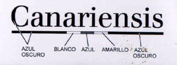 CANARIENSIS