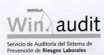 WIN. AUDIT SERVICIO DE AUDITORIA DEL SISTEMA DE PREVENCION DE RIESGOS LABORALES