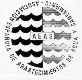 ASOCIACION ESPAÑOLA DE ABASTECIMIENTOS DE AGUA Y SANEAMIENTO AEAS