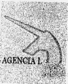 CENCLA GRUPO