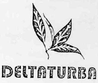 DELTATURBA