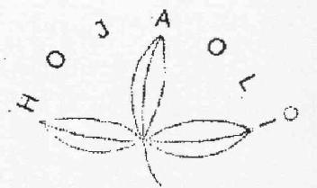 HOJAOLI
