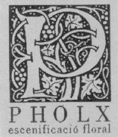 P PHOLX ESCENIFICACIO FLORAL