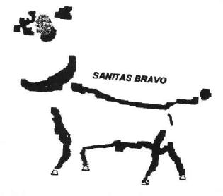 SANITAS BRAVO