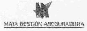 M MATA GESTION ASEGURADORA