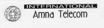 INTERNATIONAL AMNA TELECOM