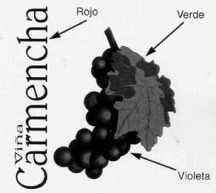 VIÑA CARMENCHA