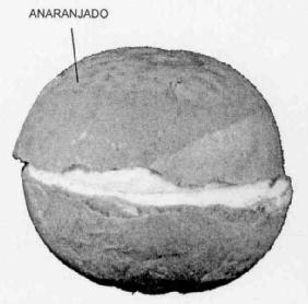 M2364369