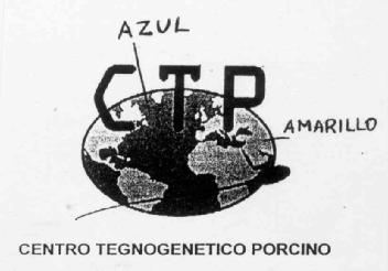 CTP CENTRO TEGNOGENETICO PORCINO