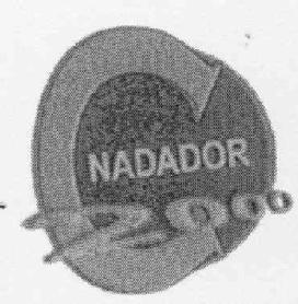 C NADADOR 2000