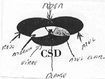 CSD