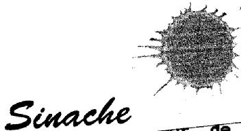 SINACHE