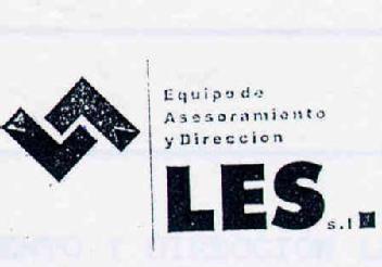 EQUIPO DE ASESORAMIENTO Y DIRECCION LES S.L