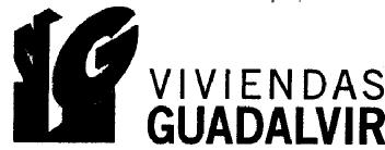 VG VIVIENDAS GUADALVIR