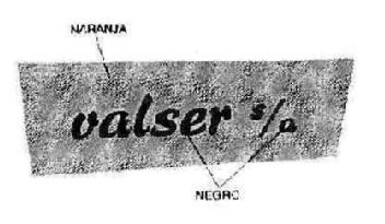 VALSER S/A