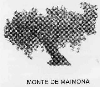 MONTE DE MAIMONA