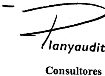 PLANYAUDIT CONSULTORES