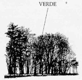 M2378489(X)
