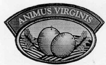 ANIMUS VIRGINIS