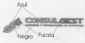 CSG ASESORES-CONSULTORES CONSULGEST ASESORIA Y CONSULTORIA DE EMPRESAS