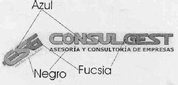 CSG ASESORES-CONSULTORES CONSULGEST ASESORIA Y CONSULTORIA DE EMPRESAS