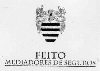 FEITO MEDIADORES DE SEGUROS