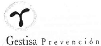 GESTISA PREVENCION