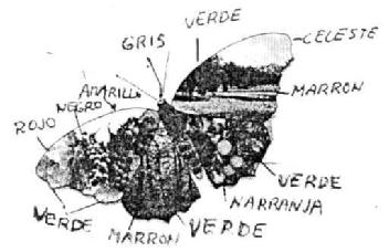 M2961637